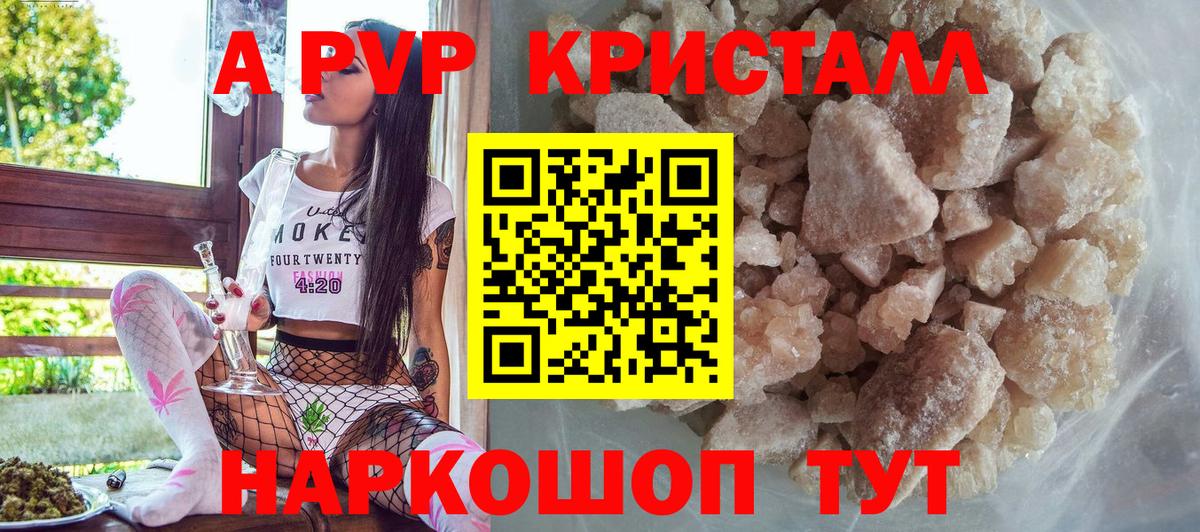 A PVP СК Мурманск